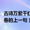 古诗万紫千红总是春的上一句（万紫千红总是春的上一句）