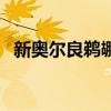 新奥尔良鹈鹕队怎么读（新奥尔良鹈鹕队）