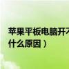 苹果平板电脑开不了机了怎么办（苹果平板电脑充不进电是什么原因）