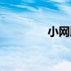 小网膜内的结构（小网膜）