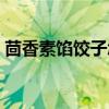 茴香素馅饺子怎么调馅视频（茴香素馅饺子）