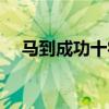 马到成功十字绣图片（马到成功十字绣）