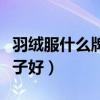 羽绒服什么牌子好看质量又好(羽绒服什么牌子好) 羽绒服什么牌子好看质量又好(羽绒服什么牌子好)