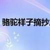 骆驼祥子摘抄加欣赏（骆驼祥子第二章赏析）