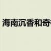 海南沉香和奇楠沉香有什么区别（海南沉香）
