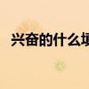 兴奋的什么填空词语（兴奋的什么填词语）