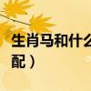 生肖马和什么生肖最配（生肖兔和什么生肖最配）