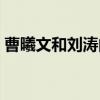 曹曦文和刘涛的对比照（曹曦文刘涛分不清）