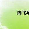 向飞导演去哪了（向飞导演）