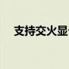 支持交火显卡的游戏（支持交火的显卡）