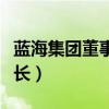 蓝海集团董事长安英演讲视频（蓝海集团董事长）