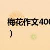 梅花作文400字左右三年级（梅花作文400字）
