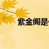 紫金阁是什么木材（紫金阁是什么）