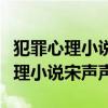 犯罪心理小说宋声声案在第几章出现（犯罪心理小说宋声声）