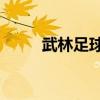 武林足球2战术克制（武林足球2）