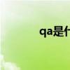 qa是什么的简称(qa是什么) qa是什么的简称(qa是什么)