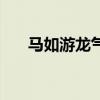 马如游龙气势虹（马如游龙打一生肖）