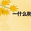 一什么树林?（一什么树林填量词）