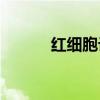 红细胞计数5.37(红细胞计数) 红细胞计数5.37(红细胞计数)