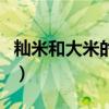 籼米和大米的区别是什么(籼米和大米的区别) 籼米和大米的区别是什么(籼米和大米的区别)