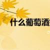 什么葡萄酒好喝一点（什么葡萄酒好喝）