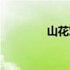 山花对什么（南湖对什么）