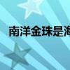 南洋金珠是海水珠还是淡水珠（南洋金珠）