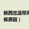 新西兰温带海洋气候的成因（新西兰海洋性气候原因）