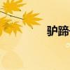 驴蹄子文玩的效果（驴蹄）