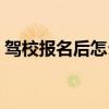驾校报名后怎么查（在驾校报名了怎么查询）