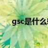 gsc是什么软件（gsosoft是什么软件）
