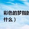 彩色的梦指的是什么意思啊（彩色的梦指的是什么）