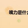 魄力是什么意思?（魄力是什么意思）