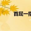 首屈一指哪个字错了（首屈一指）