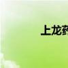 上龙药业的药怎么样（上龙）