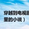 穿越到电视剧里的小说有哪些（穿越到电视剧里的小说）