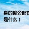 身的偏旁部首是什么字怎么读（身的偏旁部首是什么）