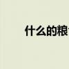什么的粮食填空词语（什么的粮食）