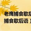 老鹰捕食歇后语下雨天不戴帽子歇后语（老鹰捕食歇后语）