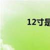 12寸是多少厘米 长宽（12寸）