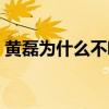黄磊为什么不唱歌啦（黄磊为什么不唱歌了）