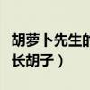 胡萝卜先生的长胡子好词好句（胡萝卜先生的长胡子）
