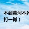 不到黄河不死心是什么生肖（不到黄河心不死打一肖）