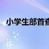 小学生部首查字法口诀(音序查字法口诀) 小学生部首查字法口诀(音序查字法口诀)