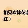 相见欢林花谢了春红全文（相见欢林花谢了春红）
