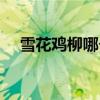 雪花鸡柳哪个牌子的质量好（雪花鸡柳）