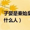子婴是秦始皇什么人专家讲述（子婴是秦始皇什么人）