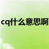 cq什么意思啊网络（网络上的cq是什么意思）