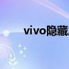 vivo隐藏应用名称（vivo隐藏应用）