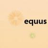equus vs380多少钱（equus）
